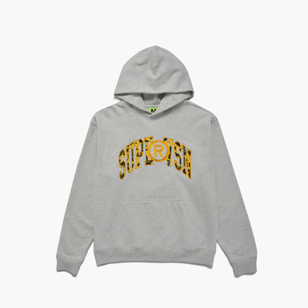 Stussy chenille arch store hoodie